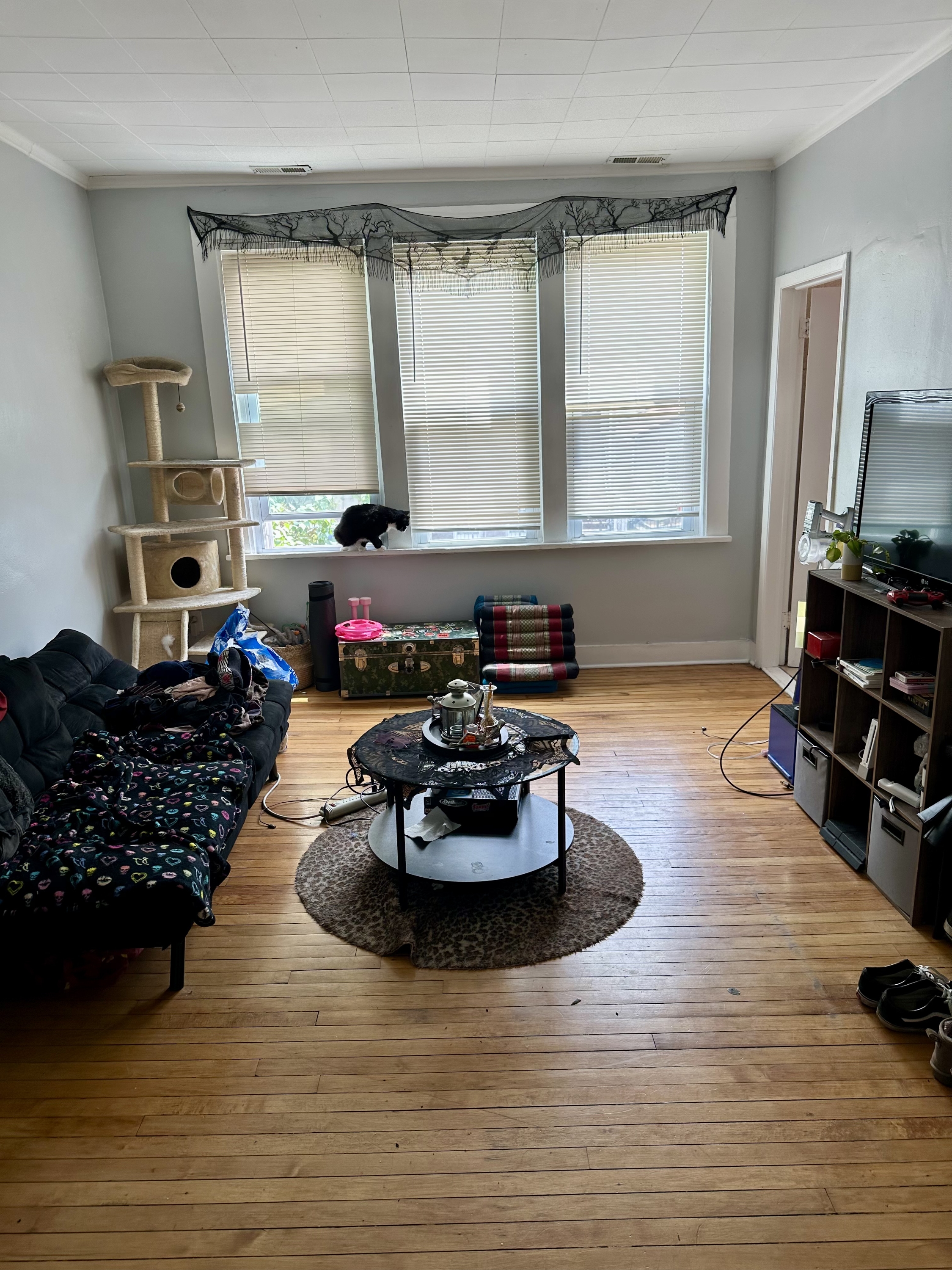 Property thumbnail image