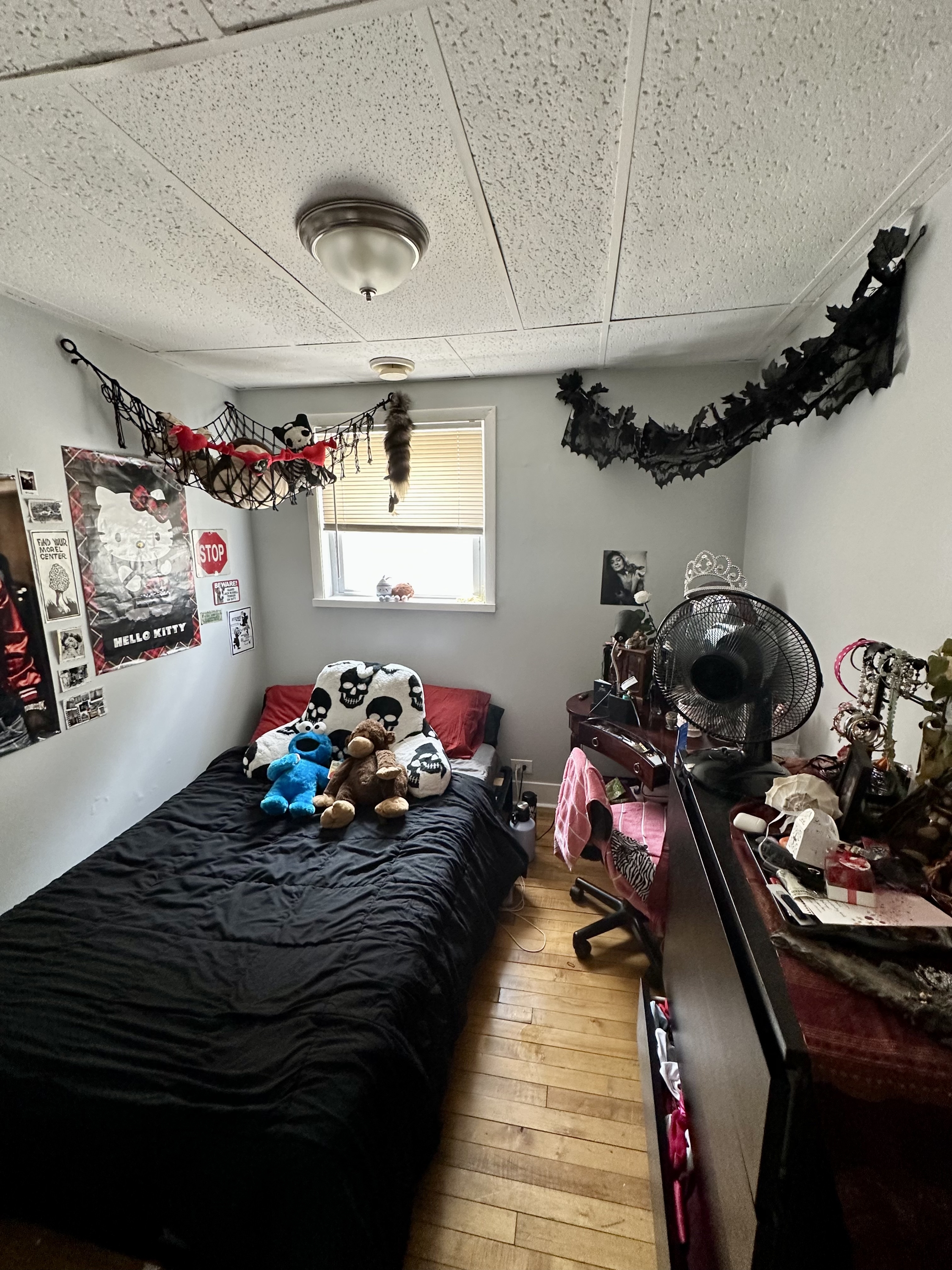 Property thumbnail image