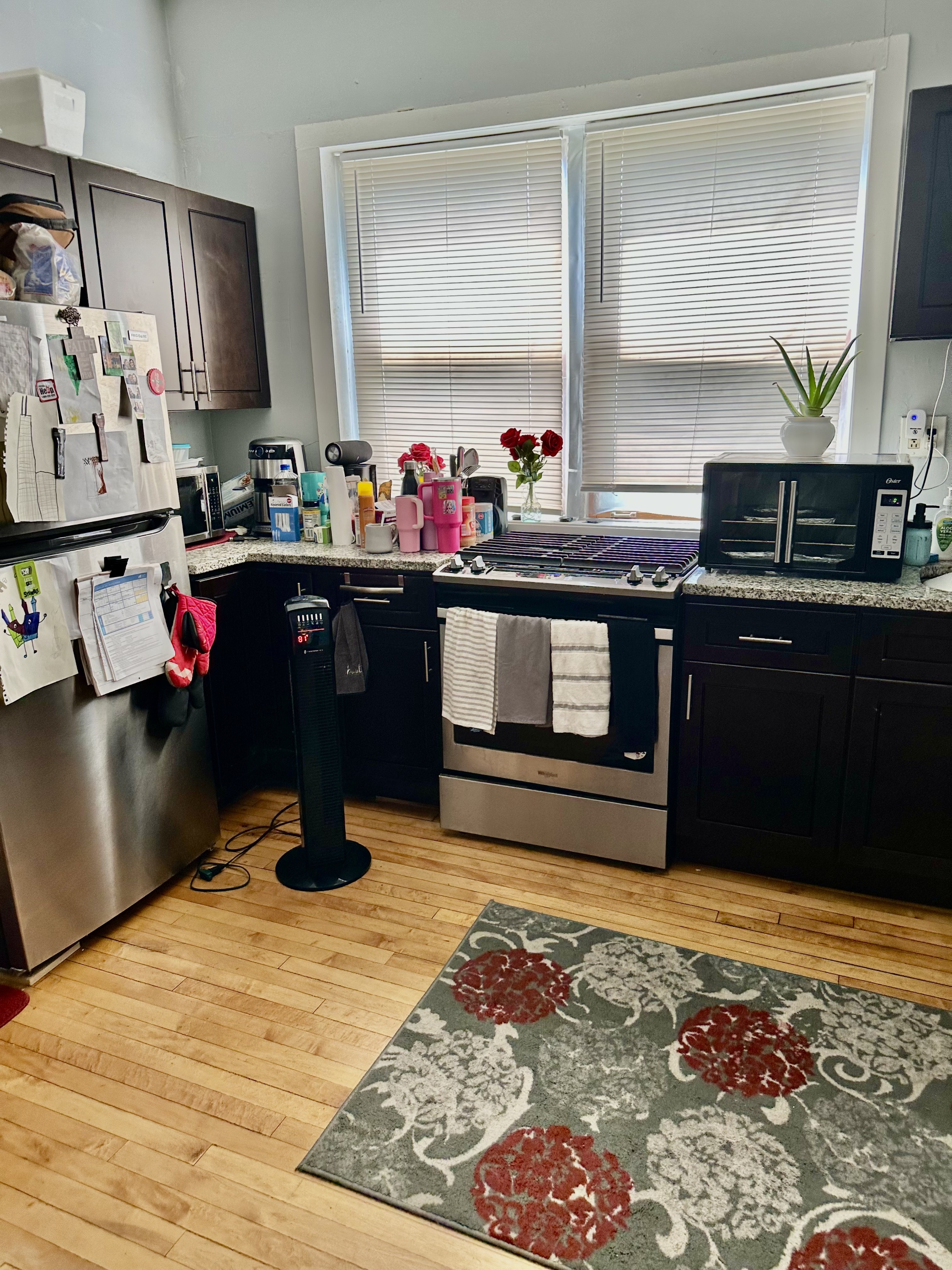 1824 West 46th Street - 2F